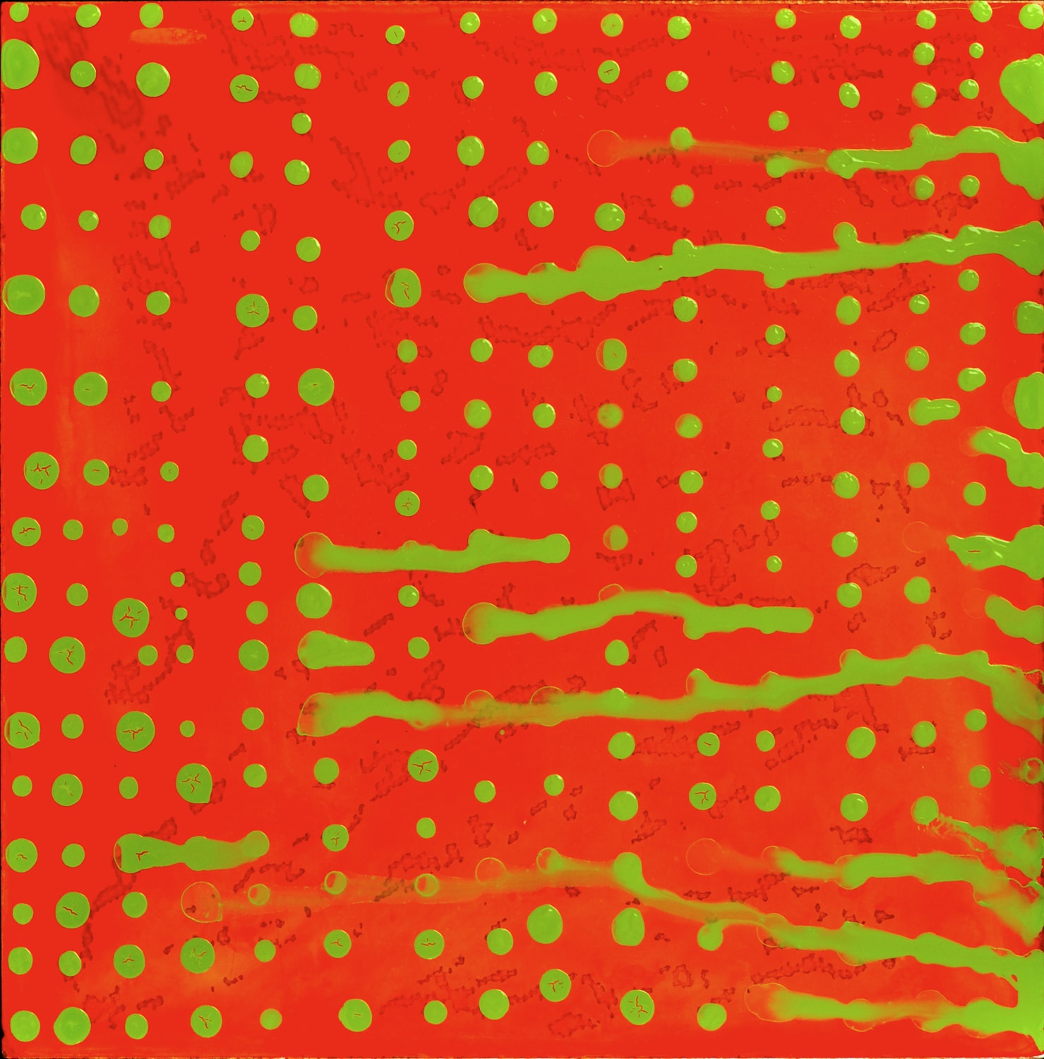 01 Red Green_HacklFagan